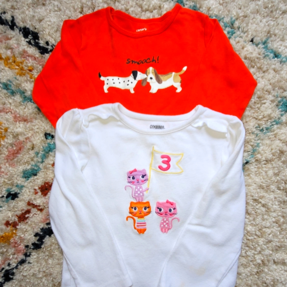 2 girls long sleeve tee-shirts